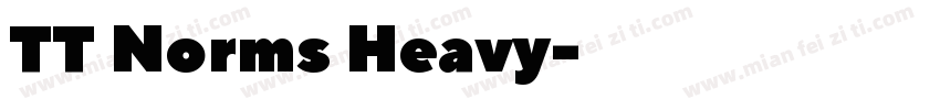 TT Norms Heavy字体转换